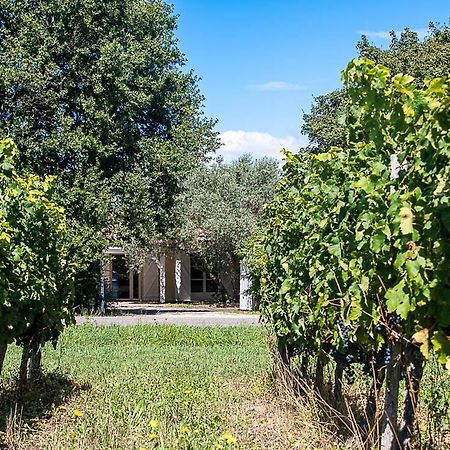 Au Detour Des Vignes Bed & Breakfast Ordonnac Eksteriør bilde