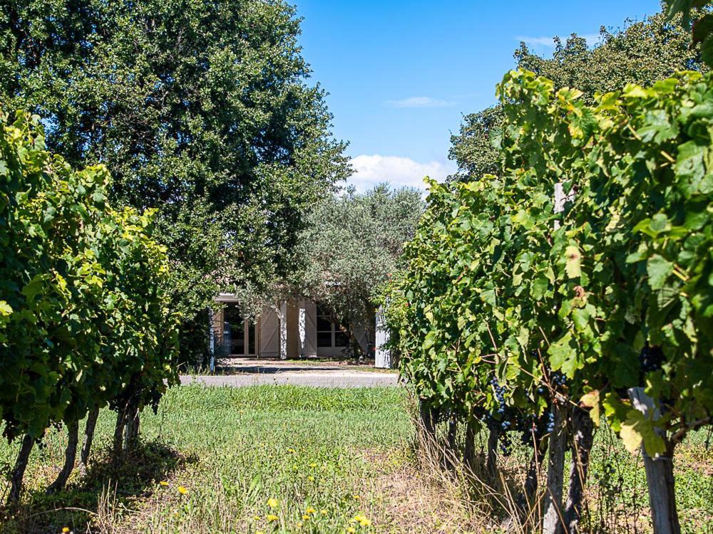 Au Detour Des Vignes Bed & Breakfast Ordonnac Eksteriør bilde