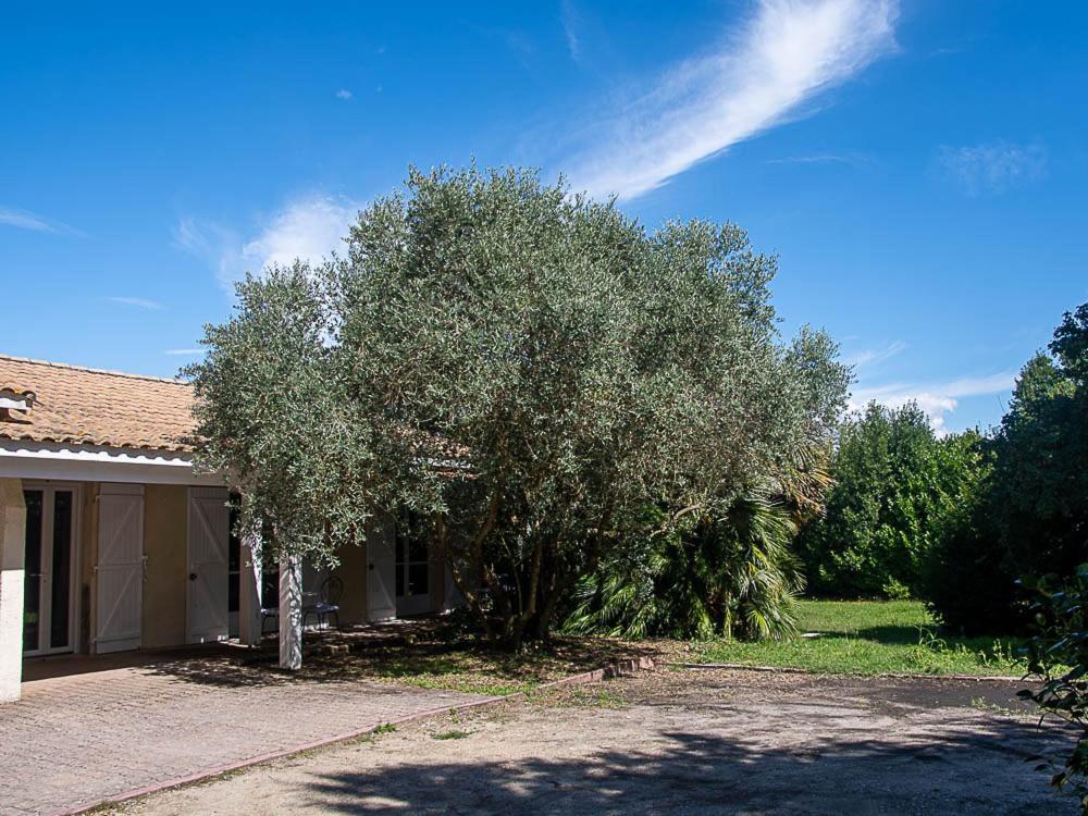 Au Detour Des Vignes Bed & Breakfast Ordonnac Eksteriør bilde